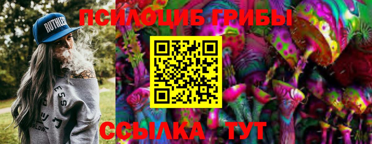 Псилоцибиновые грибы мицелий  Псилоцибиновые грибы GOLDEN TEACHER  Ефремов  Вход с VPN 