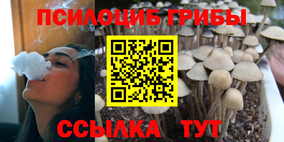 Галлюциногенные грибы ЛСД Ефремов